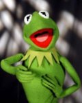 220px-New_kermit.jpg