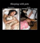 sleeping-with-pets.jpg