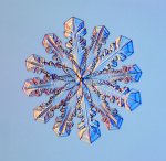 Gallery-Snowflakes-A-12-S-007.jpg