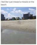 beach-rapture.jpg