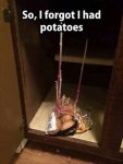 potatoes-the-gift-that-keeps-giving.jpg