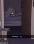 no-sign-of-kitty-but-there-is-a-level-one-demon-hiding-in-your-bed.jpg