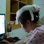 cat-hat.jpg