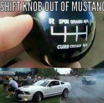 mustang_knob.jpg