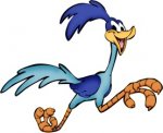 roadrunner.jpg