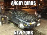 angry-birds-new-york.jpg