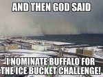 buffalo.jpg