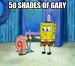 50 shades of gary.jpg