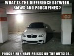 whats-the-difference-between-bmws-and-porcupines.jpg