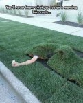 the-sign-said-stay-off-the-grass-but-didn-t-say-anything-about-under.jpg