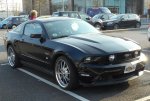 Ford Mustang 2010.jpg