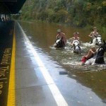 when-the-train-tracks-are-flooded-these-children-riding-horses-will-get-you-to-work.jpg