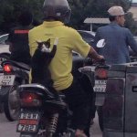 cats-don-t-need-to-wear-helmets-when-they-have-nine-lives.jpg