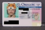 of-course-hes-from-oregon.jpg