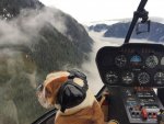 the-dog-said-he-had-his-pilot-license-so-nothing-to-worry-about.jpg