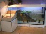 damn-this-turtle-aquarium-is-nicer-than-my-apartment.jpg