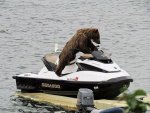 when-stealing-a-jet-ski-wear-a-bear-costume-so-no-one-does-anything.jpg