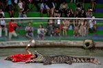 to-get-more-people-to-the-zoo-they-started-having-a-guy-get-eaten-by-a-crocodile-at-12-and-2.jpg