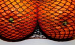 these-saucy-oranges-enjoy-a-good-fishnet-top.jpg