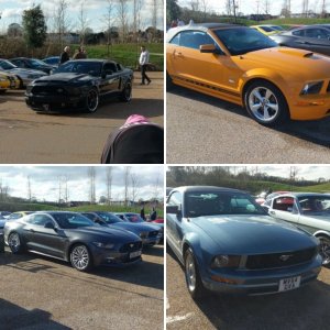 Mustang Meet Feb 2018