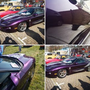 Purple TransAm