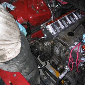 Day 3 - 34
Look I can stand in the engine bay, reminds me of the days of my '89 Firebird V6.