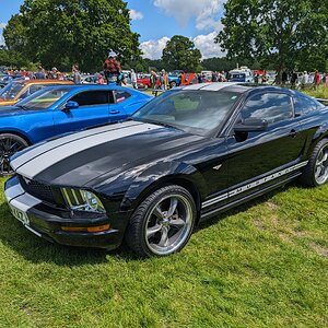 Beaulieu_June_2024_132.jpg