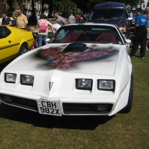 Trans-Am with a flaming screaming chicken