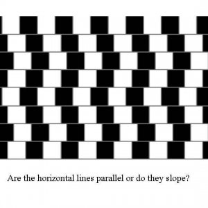 Are the lines straight of curved?