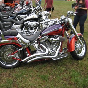 Line up of Harley's