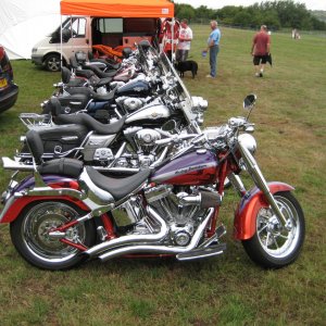 Line up of Harley Davidsons