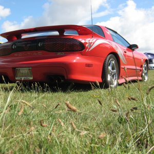 2000 Pontiac Trans-Am WS6