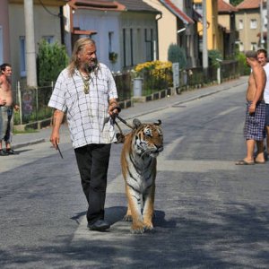 everyone was totally fine with him keeping a tiger totally fine