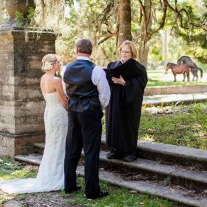 horses humping on your wedding day is good luck