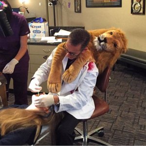 this dentist won the costume contest at his office halloween party