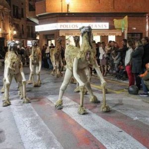 this annual parade appeases the camels