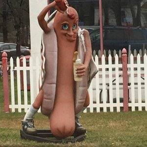 hot dog cannibal needs to lay off the bath salts