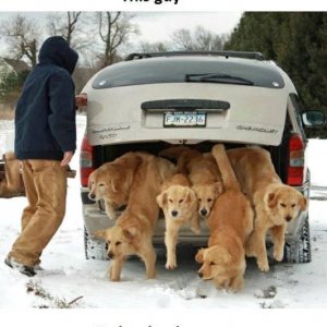 trunk full of puppies thankfully just puppies