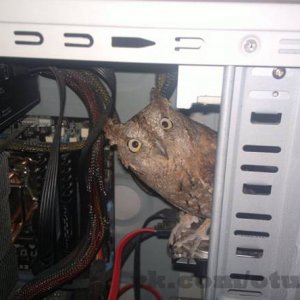 i think we found what s wrong with your computer