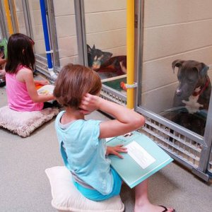 dogs at the pound meeting with their lawyers