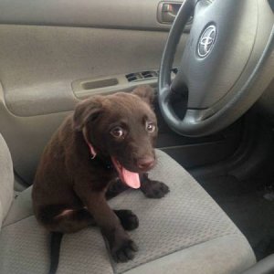 cutest uber driver ever