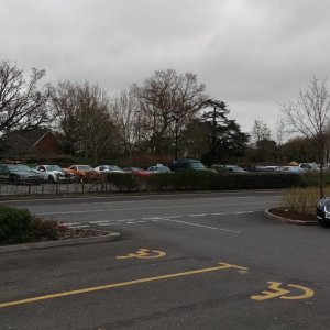 Line of club cars behind the bush.