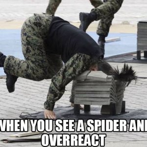 fuck those spiders