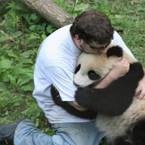 panda was pissed when he realized devin was not bamboo