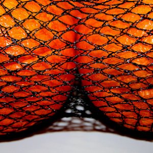 these saucy oranges enjoy a good fishnet top