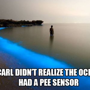 dammit carl were standing in it too