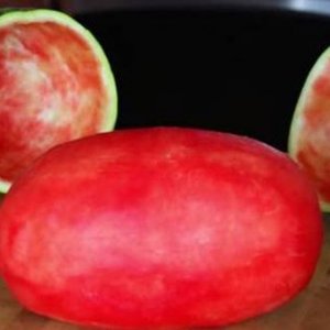 did you know watermelons can create giant grapes