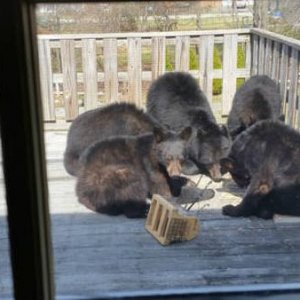 on second thought we won t be eating on the porch today