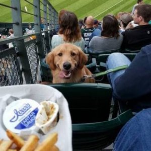 more like the seventh inning stench