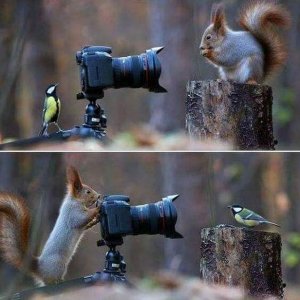 this brings new meaning to nature photography